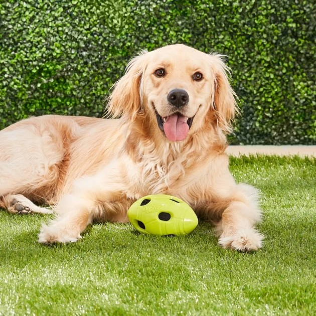 Nerf Dog Crunchable Football Dog Toy - Image 4