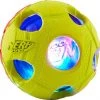 Nerf Dog Light Up Bash Ball Dog Toy