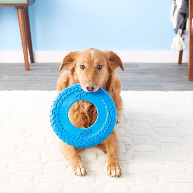 Nerf Dog Flyer Tire Dog Toy - Image 4