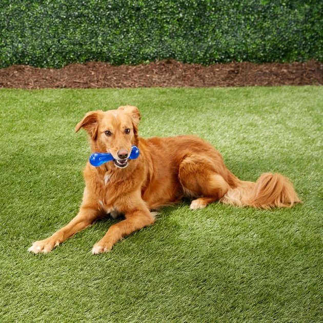 Nerf Dog Ultra Tough TPR Bone Dog Toy - Image 2