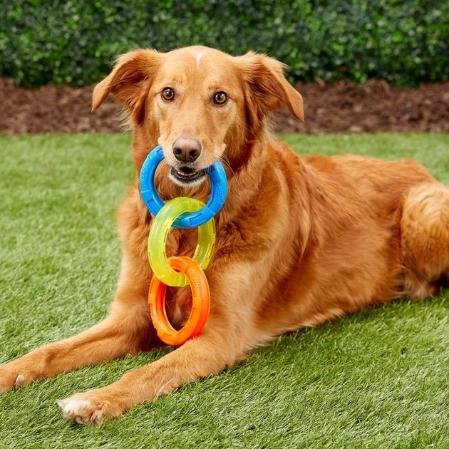 Nerf Dog Tuff Tug 3 Ring Dog Toy - Image 3