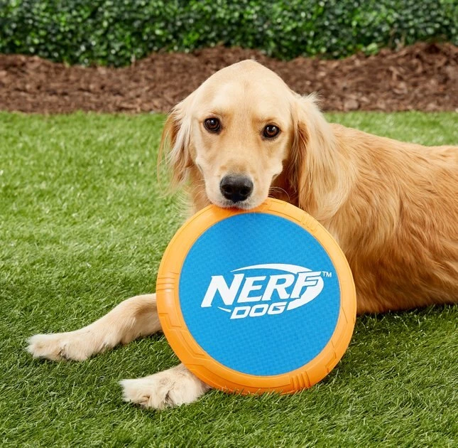 Nerf Dog Flyer Disc Dog Toy - Image 2