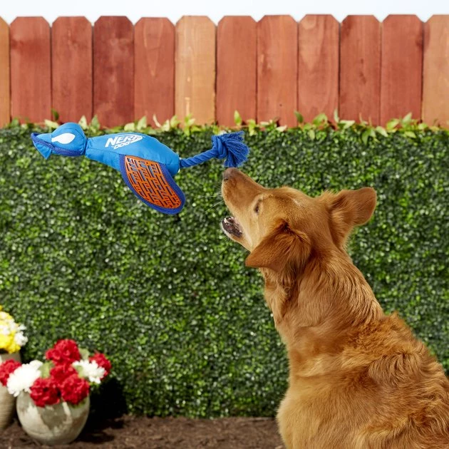 Nerf Dog Force Grip Trackshot Launching Duck Dog Toy - Image 2