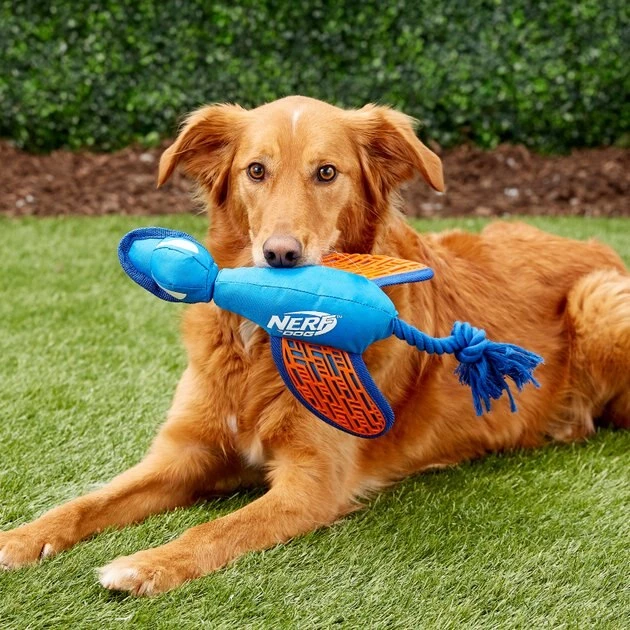 Nerf Dog Force Grip Trackshot Launching Duck Dog Toy - Image 6