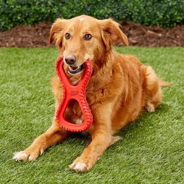 Nerf Dog Tire Infinity Tuff Tug Dog Toy - Image 2