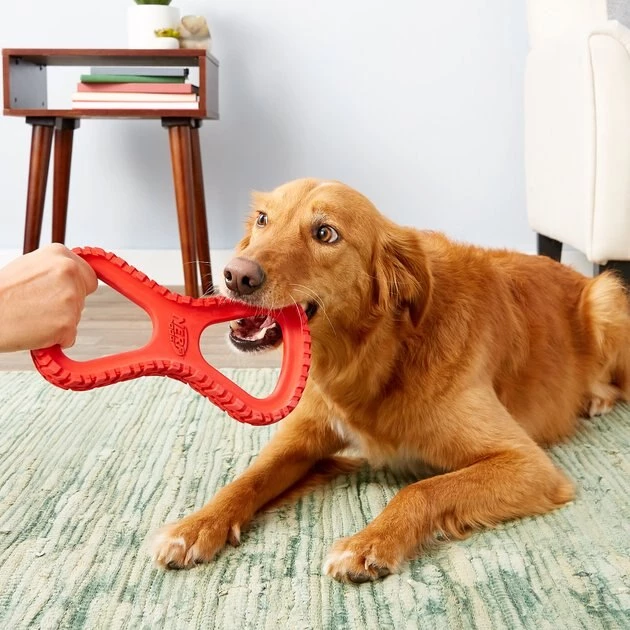 Nerf Dog Tire Infinity Tuff Tug Dog Toy - Image 6