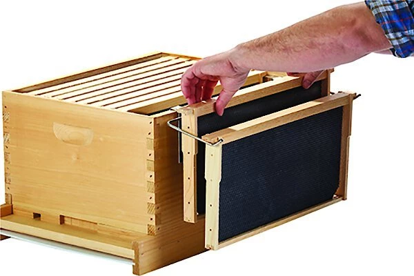 Little Giant Bee Metal Frame Holder