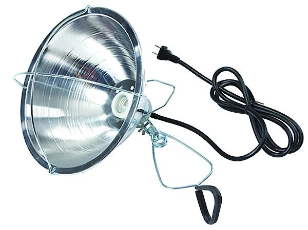 Little Giant Brooder Reflector Lamp, 10.5-in