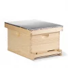 Little Giant Complete Hive, 10 Frame