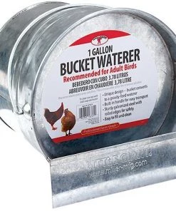 Little Giant Galvanized Bucket Poultry Waterer
