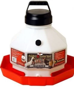 Little Giant Plastic Poultry Fount