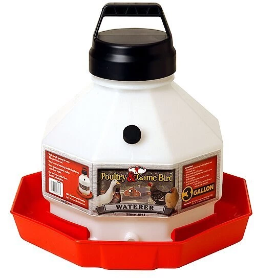 Little Giant Plastic Poultry Fount