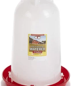 Little Giant Poultry Drinker, 3-gal