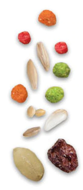 Yaheetech||ZuPreem||Vitakraft Medium Bird Starter Kit - Yaheetech 55-in Triple Roof Rolling Bird Cage, Black + 2 other items - Image 5